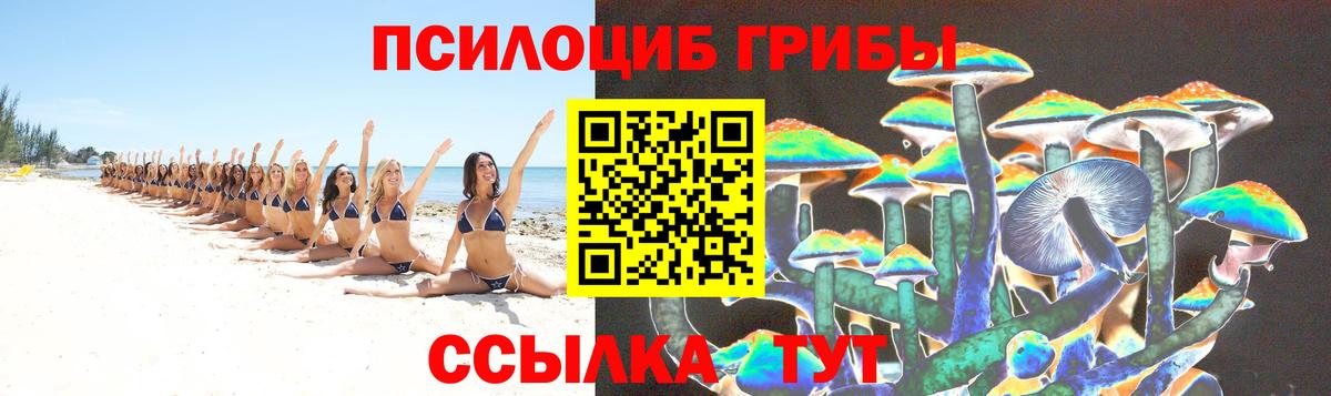 Псилоцибиновые грибы мицелий Буйнакск